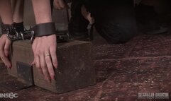 Sexually Broken - Dee Williams