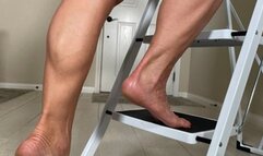 LEGS ON A LADDER - WMV