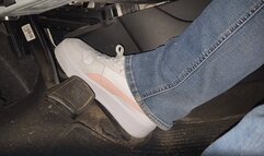 Morning start in Pumas