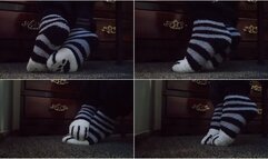 IGNORED - SOCKS UNDER DESK