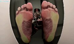 Wrinkles stomps tinies flat! - MOV