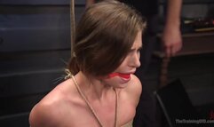 Bill Bailey Training Sydney Cole