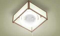 Sexy bitch walks in on her stepbrother taking a shower and sucks his big dick