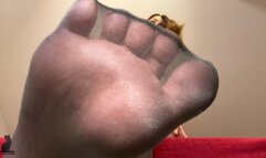 Worship and lick nylon feet of your Goddess - Wolford tights