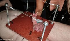 CBT Ashtray (1080P HD MP4)