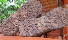 Dirty Hike Boots, Dirty Socks (mkv)