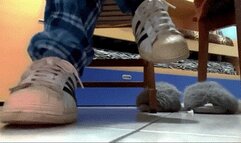 paper slave crushed by my sneakers