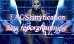 GAYSluttyfication data reprogramming