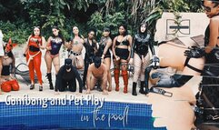 GangBang PetPlay - Full