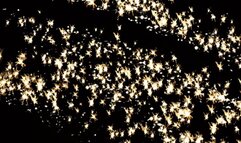 Training My Sissy Slut Full mp4