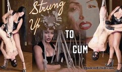 Strung Up to Cum