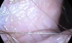 Take a Swim in My Ambrosia