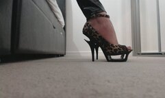 POV Shoe and Foot Worship (MOV)
