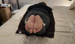 Lucy’s Return To Her Master