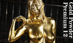 Gold Powder Premium 12 Monami Takarada