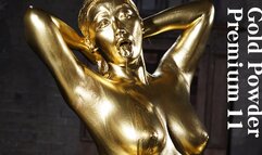 Gold Powder Premium 11 Waka Misono