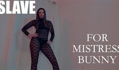 Bratty Bunny - Slave For Mistress Bunny