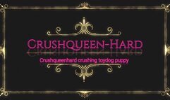 Crushing fuul toydog puppy in nylons and Berkemann wooden Sandals