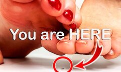 Fear our feet! CUSTOM