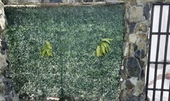 hard corporal punishment in cage, hand cane, bastinado and other humiliation