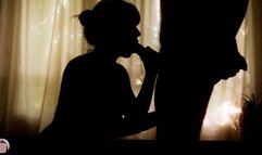 Silhouette Blowjob