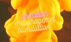 Pee Yourself For My Entertainment - Urination Encouragement - Humiliation - Audio Only