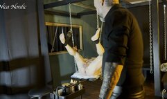 anally stuffed by the Dom couple