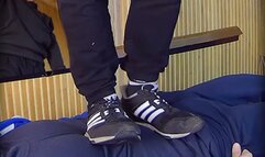 Rocky Adi sneakers trampling