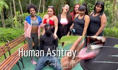 Six Queens and a Human Ashtray