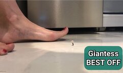 UNAWARE GIANTESS WITH BIG FEET BEST OFF - MP4 MOB discounted price