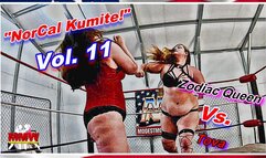 NorCal Kumite! Vol 11 WMV