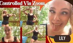 Lily: Controlled Via Zoom