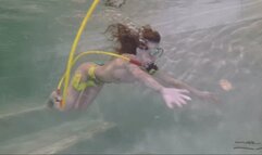 415 - Quarrel About The Red Dildo