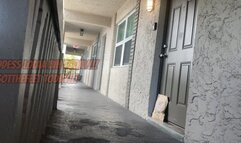 THATS A GOODBOY VOL 8 FV