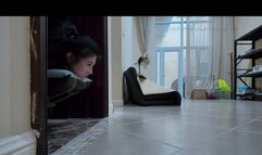 YT2205 Self_propelled Hogtie