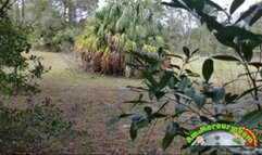 Transformed Into An Orc