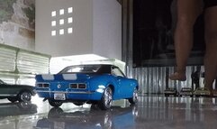 Terri Varity Pack Car Crushing