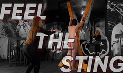 FEEL THE STING (480p)