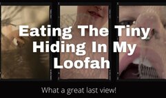 Phoenix Eats The Tiny Hiding In Her Loofah- 1080p