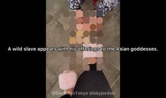 Slave Chair Tie Humiliation by Miss Tokyo And Goddess Jordyn