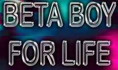 BETA BOY FOR LIFE