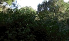 Cum on soles MP4 (1920x1080) FHD