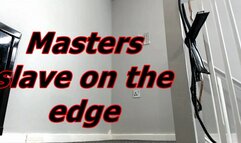Masters collared pay pig MP4
