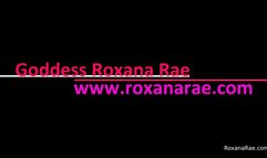 March Tiny Dick Tax 2024