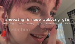 sneezing n nose rubbing gfe