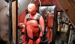 Sunday Red Rubber Suspension