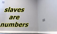 slaves are numbers (WMV)