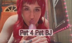 Pet 4 Pet BJ