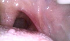 Mouth Cam - Rachel Adams - 1080