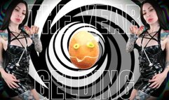 The year of gelding 2024